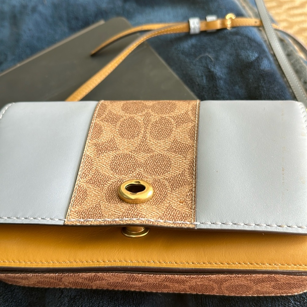 Coach Dinky Bag